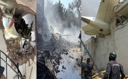 अहमदाबाद में एयर इंडिया विमान हादसा: टेकऑफ के बाद क्रैश, 133 शवों की पुष्टि की, मृतकों की संख्या बढ़ने की आशंका। 