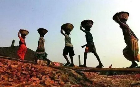 Hardoi News: श्रमिक पंजीयन नवीनीकरण में माह सितम्बर 2025 तक छूट प्रदान किए जाने की व्यवस्था बोर्ड के वेबपोर्टल पर करा दी गयी है - सहायक श्रमायुक्त