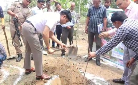 Sambhal News: जिलाधिकारी द्वारा फावड़ा चलाकर वर्षा जल संरक्षण के लिए की खुदाई। 