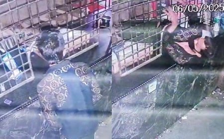 Viral News: नागपुर में चोर की हैरतअंगेज करतूत- संकरी काउंटर खिड़की से बियर शॉप में घुसकर ₹25,000 की चोरी, सीसीटीवी में कैद हुआ ‘ऑक्टोपस’ स्टाइल। 