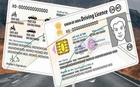 UP News: नए ड्राइविंग लाइसेंस के आवेदनों के त्वरित निस्तारण में आई अभूतपूर्व तेजी, पेपरलेस, फेसलेस और कैशलेस अभियान के दिख रहे सकारात्मक नतीजे।  