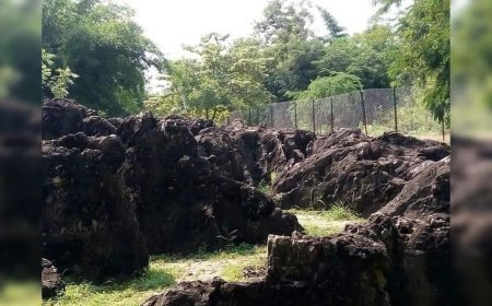 Lucknow News : सलखन फॉसिल्स पार्क यूनेस्को की विश्व प्राकृतिक धरोहर की सूची में शीघ्र होगा दर्ज - जयवीर सिंह