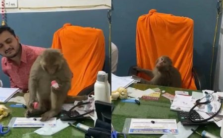 अजब गजब: सहारनपुर के अस्पताल में बंदर बना ‘डॉक्टर’, दवाइयों की जांच और कुर्सी पर आराम, वायरल वीडियो ने मचाया धमाल। 