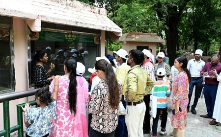 Lucknow News: राज्य संग्रहालय में जूनियर कन्ज़र्वेशनिस्ट नेचर कैम्प का आयोजन। 