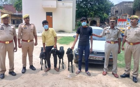 Hardoi News : बकरी चोरी का खुलासा- दो कुख्यात चोर गिरफ्तार, चोरी की कार सहित 30,000 रुपये बरामद