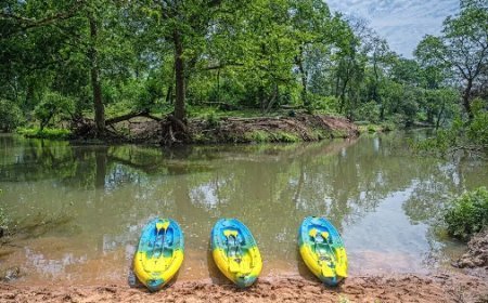 UP News: उत्तर प्रदेश पर्यटन विभाग बघेल ताल को बनाएगा इको पर्यटन हब- जयवीर सिंह