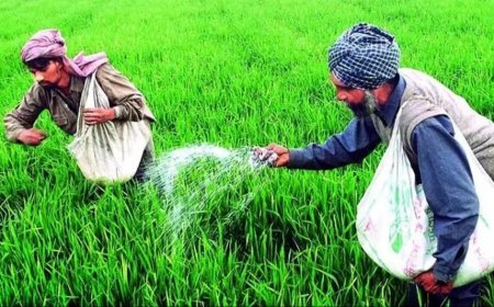 Lucknow News : खरीफ सीजन में किसानों को मिलेगी पर्याप्त मात्रा में खाद निजी उर्वरक रैंक से 40% आपूर्ति पीसीएफ को देने के निर्देश