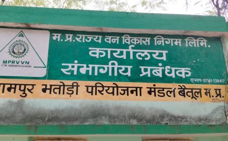 Baitul News : बैतूल परियोजना 12 साल से एक ही रेंज में है पदस्थ, निकल गए लाखों के बिल मेडिकल के नाम पर ,अब भी रामपुर में ही पदस्थ है डिप्टी रेंजर दुर्गेश मालवीय,अधिकारी है खास मेहरबान 