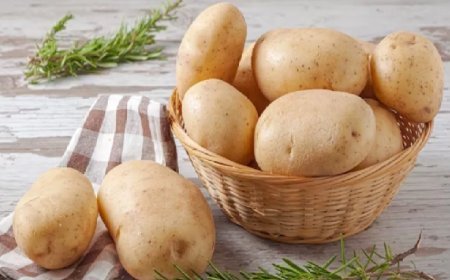 Lucknow: देश-विदेश में छा रहा UP का आलू- कृषकों को खुदाई, विपणन व भण्डारण की समुचित योजना बनाने की सलाह। 