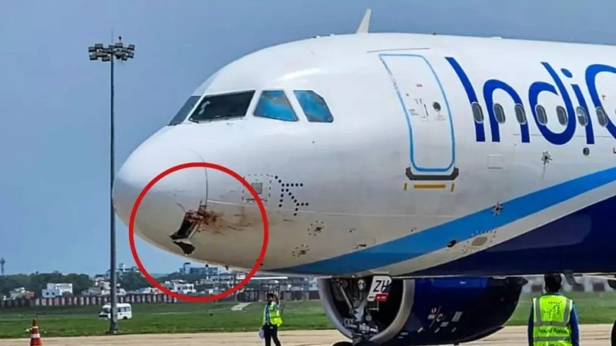 Viral: रांची में इंडिगो फ्लाइट की गिद्ध से टक्कर, 4000 फीट की ऊंचाई पर इमरजेंसी लैंडिंग, 175 यात्री सुरक्षित