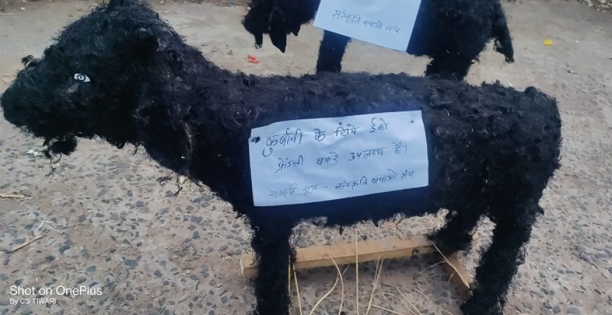Trending: भोपाल में संस्कृति बचाओ मंच ने बकरीद पर मिट्टी के बकरों से दी प्रतीकात्मक कुर्बानी, पशु बलि के खिलाफ जागरूकता अभियान। 
