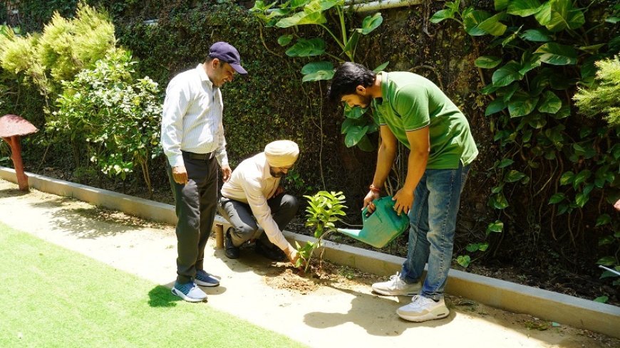 Deoband News: द दून वैली पब्लिक स्कूल देवबन्द में पौधे लगाकर मनाया गया विश्व पर्यावरण दिवस। 