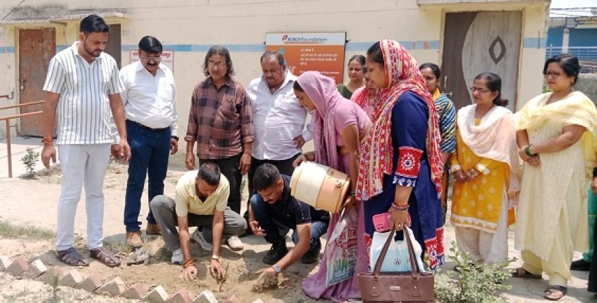 UK News: विश्व पर्यावरण दिवस पर जीजीआईसी इंटर कॉलेज व नगर पंचायत ने पौधे लगाकर पर्यावरण दिवस को मनाया। 