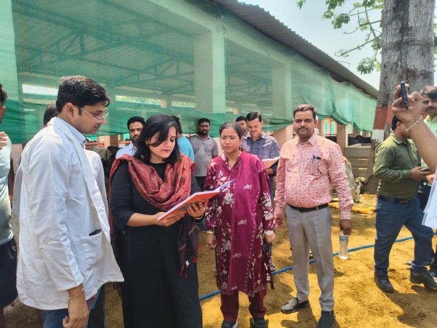 Hardoi News: हरदोई और साण्डी में गंगा दशहरा, ईद-उल-अज़हा, विश्व पर्यावरण दिवस और योग दिवस की तैयारियों का निरीक्षण