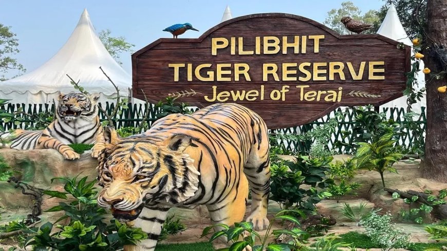 Lucknow News : ईको टूरिज्म के साथ समावेशी विकास को बढ़ावा दे रही ईको डेवलपमेंट कमेटियां, पीलीभीत टाइगर रिजर्व की ईडीसी के जरिये स्थानीय युवाओं को मिल रहा है रोजगार