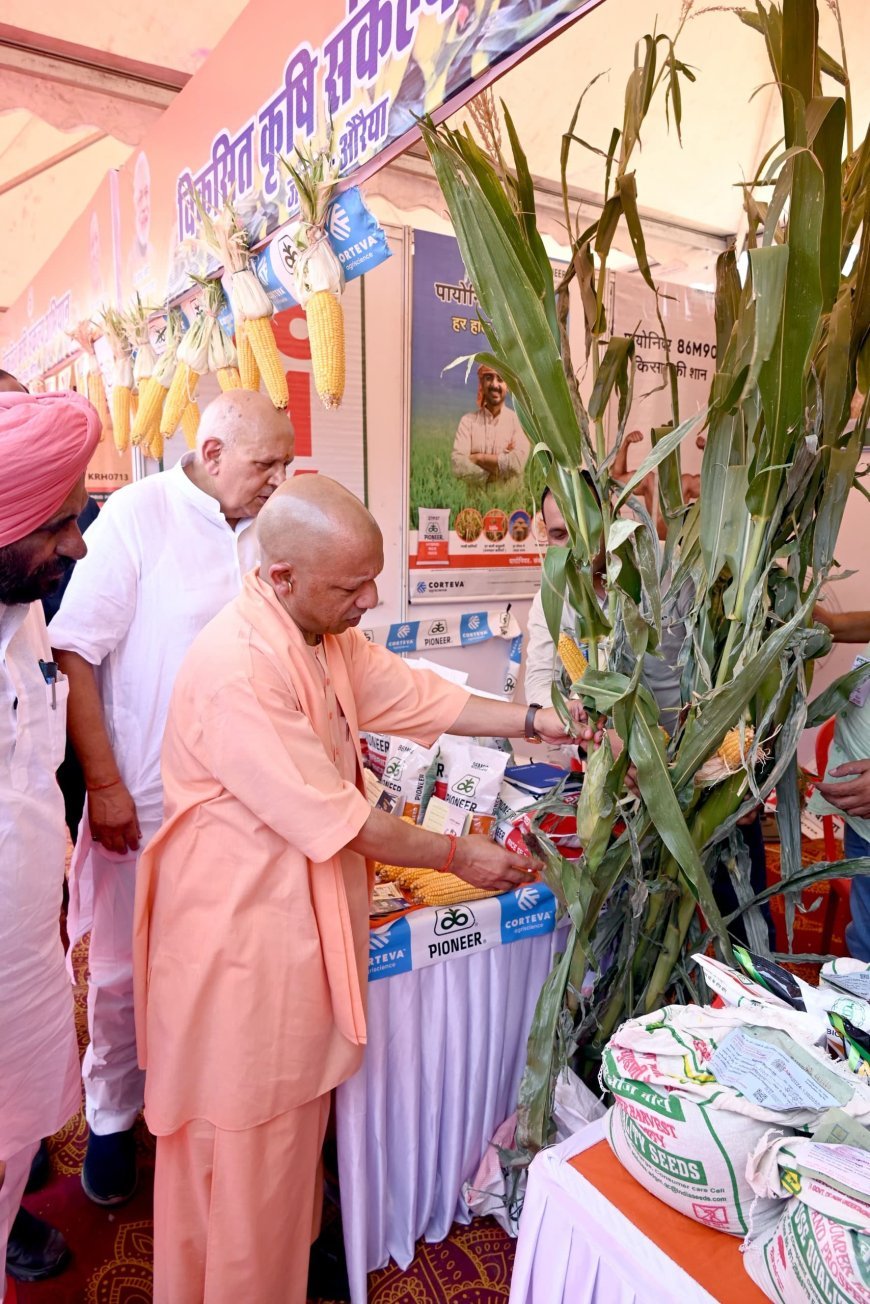 Lucknow News: मक्का की लहलहाती फसल देख प्रसन्न हुए CM योगी (Yogi) आदित्यनाथ, CM योगी (Yogi) ने कानपुर, उन्नाव, कन्नौज और औरैया में एरियल सर्वे कर लिया मक्का की फसल का जायजा