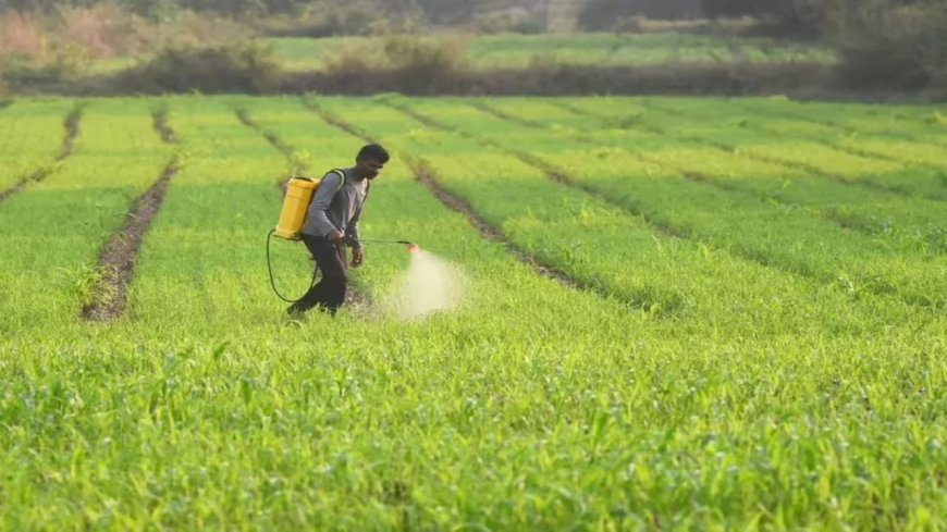 Lucknow News: उन्नाव, अमरोहा और बाराबंकी में किसान हुए लाभान्वित, अभियान के 12वें दिन तक 14 लाख से अधिक किसानों ने की भागीदारी