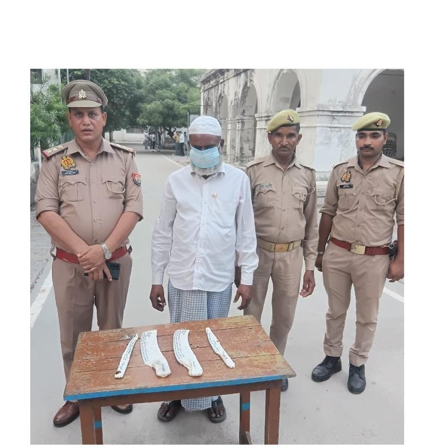 Hardoi News: हरदोई में अवैध पशु कटान के मामले में एक अभियुक्त गिरफ्तार, पुलिस ने बरामद किए चाकू और पशुओं की खाल