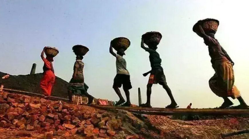 Hardoi News: श्रमिक पंजीयन नवीनीकरण में माह सितम्बर 2025 तक छूट प्रदान किए जाने की व्यवस्था बोर्ड के वेबपोर्टल पर करा दी गयी है - सहायक श्रमायुक्त