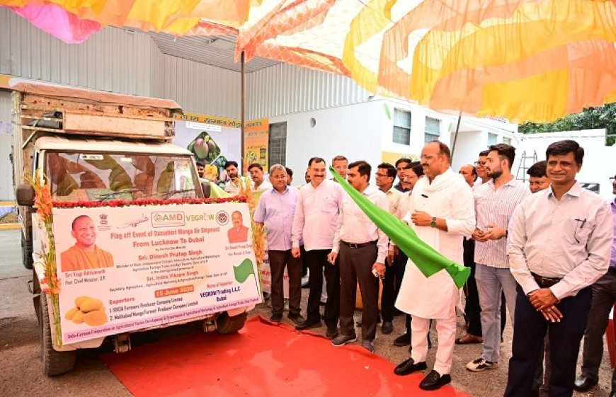 Lucknow News: मंत्री दिनेश प्रताप सिंह ने दशहरी आम का कन्साइनमेंट दुबई के लिए किया रवाना, प्रदेश के आम की खुशबू अब विदेशों तक पहुंची, एफपीओ ने रचा नया इतिहास। 