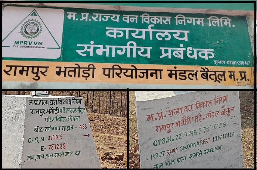 MP News: रेंजर शुक्ला को संरक्षण? बिना जांच के ट्रांसफर, FIR और कार्यवाही कागजों में सिमटी। 