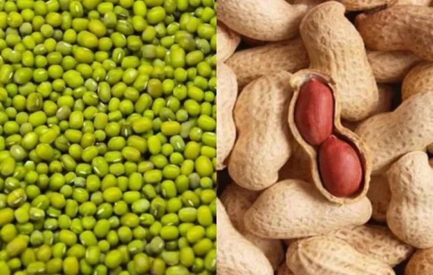 Lucknow News : 75 जिलों में मूंग और 15 जिलों में मूंगफली खरीद शुरू, लाखों किसानों को होगा मुनाफा