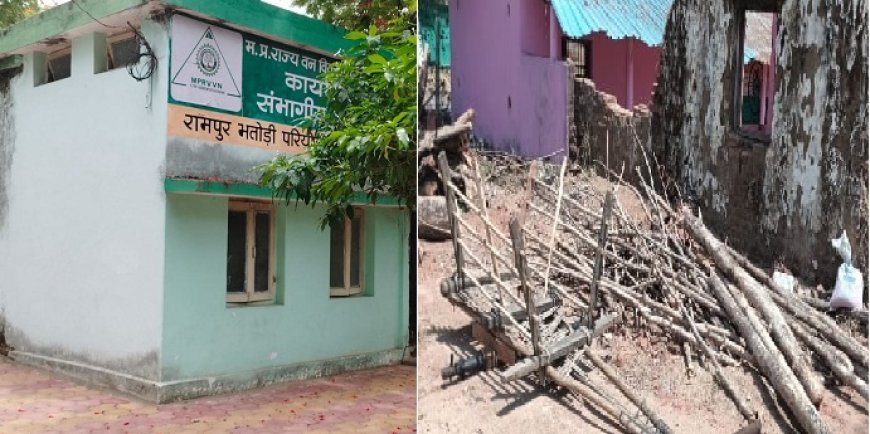 MP News: रामपुर भतोड़ी परियोजना मण्डल बैतूल में एक और घोटाला उजागर- पीओआर के बाद सागौन से भरी बैलगाड़ी गायब, चोपना रेंज में कोई कार्यवाही नहीं। 