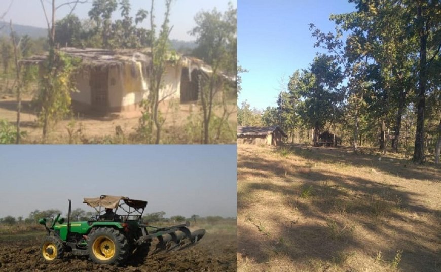 मध्यप्रदेश वन राज्य निगम: जंगलों में अतिक्रमण का बोलबाला, बादलपुर और पहाड़पुर में लापता कंपार्टमेंट, पक्के मकान और खेती का कब्जा।