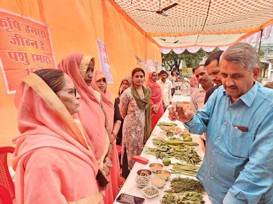 Hardoi News: हरपालपुर में कृषक गोष्ठी- निःशुल्क बीज मिनीकिट वितरण, किसानों को योजनाओं की दी गई जानकारी। 