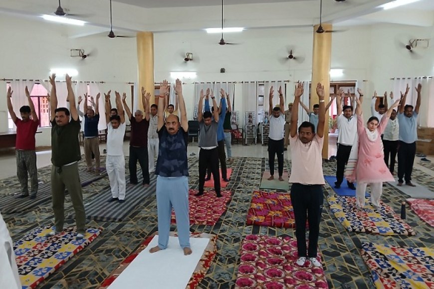 Hardoi News: न्यायालय परिसर के सभागार में मनाया गया अन्तर्राष्ट्रीय योग दिवस। 