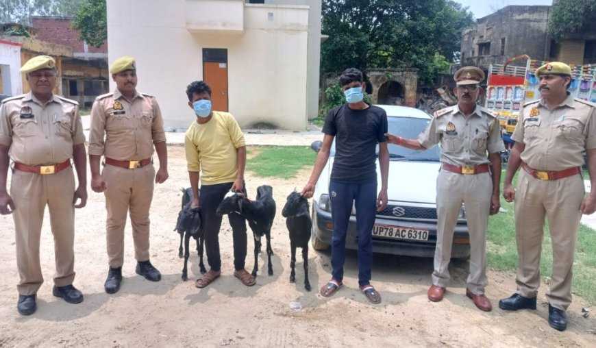 Hardoi News : बकरी चोरी का खुलासा- दो कुख्यात चोर गिरफ्तार, चोरी की कार सहित 30,000 रुपये बरामद