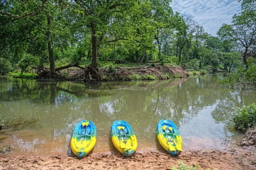 UP News: उत्तर प्रदेश पर्यटन विभाग बघेल ताल को बनाएगा इको पर्यटन हब- जयवीर सिंह