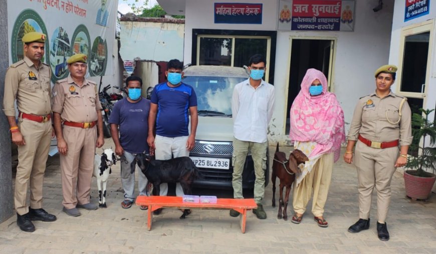 Hardoi News : हरदोई में पशु चोरी का खुलासा, चार अभियुक्त गिरफ्तार, बकरियां-बकरा और नकदी बरामद
