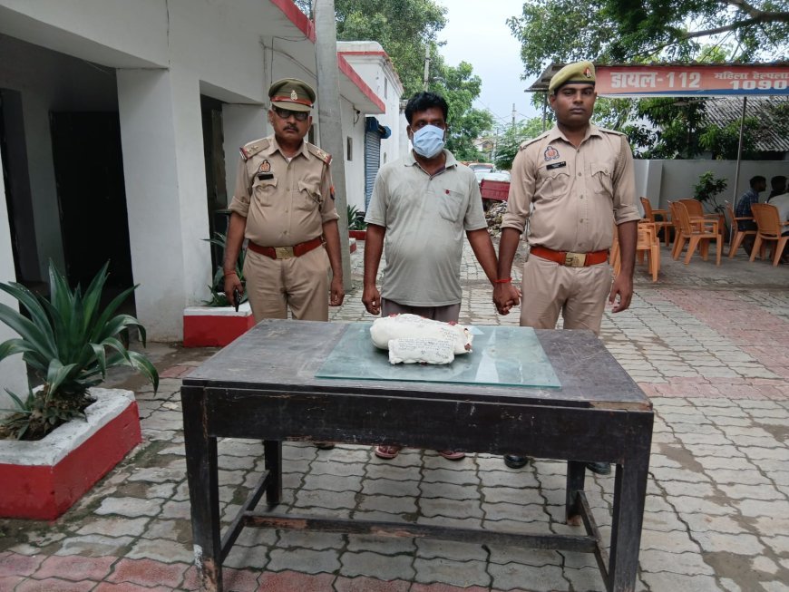 Hardoi News: अवैध गांजा के साथ अभियुक्त गिरफ्तार: कोतवाली शहर पुलिस की बड़ी कार्रवाई
