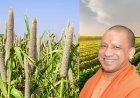 Lucknow: योगी सरकार की प्राथमिकता में किसान, कृषि योजनाओं के लिए 10,888 करोड़ रुपये।
