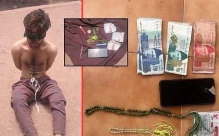 Viral: जम्मू-कश्मीर में LoC पर घुसपैठ नाकाम, जैश का पाकिस्तानी गाइड गिरफ्तार, मोबाइल और करेंसी बरामद। 