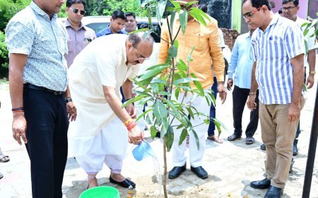 Lucknow News : उद्यान मंत्री ने मलिहाबाद में दशहरी गांव का किया दौरा, मलिहाबाद का आम देश-दुनिया में बढ़ा रहा है सम्मानः दिनेश प्रताप सिंह