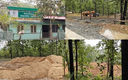 मध्यप्रदेश वन राज्य निगम के डिप्टी दुर्गेश मालवीय का कारनामा: जंगल की जमीन और पानी पर कब्जा, अवैध रेत-गिट्टी का डंप। 