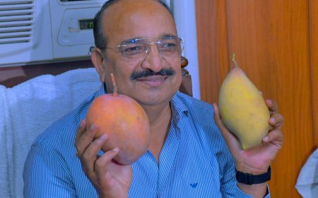 Lucknow News : UP के आम को मिलेगी ग्लोबल पहचान, प्रदेशवासियों को आम की 800 किस्मों देखने और चखने का मिलेगा अवसर