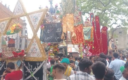 Sambhal News : अकीदत के साथ निकला अलम का जुलूस, हुसैन को याद कर नौहा, नियाज और फातिहा पढ़ा गया