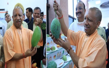 उत्तर प्रदेश आम महोत्सव-2025: मुख्यमंत्री योगी आदित्यनाथ ने लखनऊ में तीन दिवसीय 'उत्तर प्रदेश आम महोत्सव- 2025' का किया शुभारंभ।