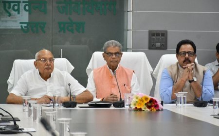 Lucknow News: 'एक पेड़ माँ के नाम' वृक्षारोपण महाअभियान-2025, 5 करोड़ पौधारोपण करेगा कृषि विभाग। 