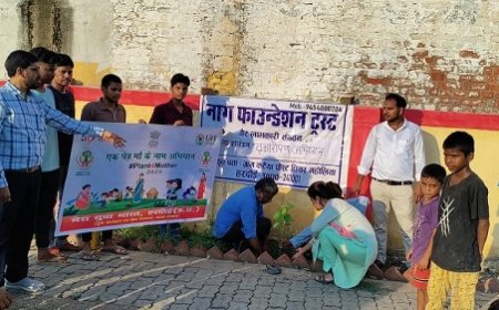 Hardoi: 'एक पेड़ मां के नाम' अभियान- आंबेडकर पार्क में पौधारोपण, पर्यावरण संरक्षण पर जोर। 