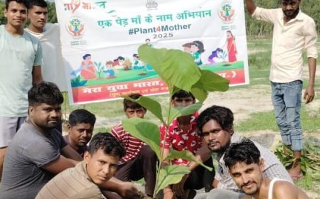 Hardoi: एक पेड़ मां के नाम अभियान में युवा मंडल सदस्यों द्वारा किया गया पौधरोपण। 