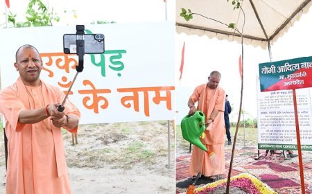 Ek Ped Maa Ke Naam: हमने आठ साल में लगाए 204 करोड़ पौधे, 5 लाख एकड़ में हुआ वनाच्छादन- योगी आदित्यनाथ 