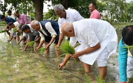 कृषि मंत्री सूर्य प्रताप शाही ने नरेंद्र देव कृषि विश्वविद्यालय में धान रोपाई का किया निरीक्षण।