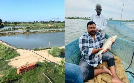 Success Story: डबल इंजन सरकार और मेहनत से मत्स्य पालक लिख रहे करोड़ों की सफलता, दे रहे दूसरों को रोजगार