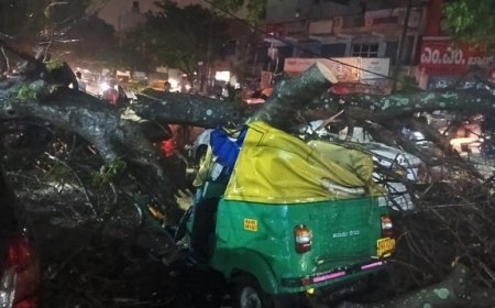 बेंगलुरु में भारी बारिश का कहर- पेड़ गिरने से ऑटो ड्राइवर घायल, कई वाहनों को नुकसान। 