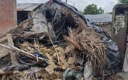 बेहंदर में दर्दनाक हादसा: कच्ची दीवार ढहने से किसान की मलबे में दबकर मौत, जांच में जुटी पुलिस। 