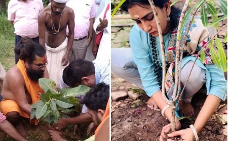 सीएम योगी के पौधरोपण अभियान का व्यापक असर, हरियाली की ओर बढ़ा उत्तर प्रदेश।
